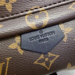 Louis Vuitton Palm Springs Mini M44873 Brown